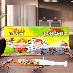 Шприц-гель від тарганів та мурах 35г Домовик 01k11p061 фото