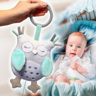 Детская развивающая мягкая музыкальная игрушка BabyOno "Сова София" (792) (SB) 03k17p366 фото