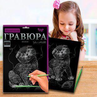 Набор для детского творчества "Гравюра" А4 297х210 мм Danko Toys (IGR24) 03k12p072 фото