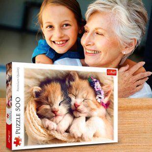 Пазлы живописные &ndash; (500 эл.) &ndash; "Сонные котята" 37271/ Trefl (SB) 03k19p179 фото