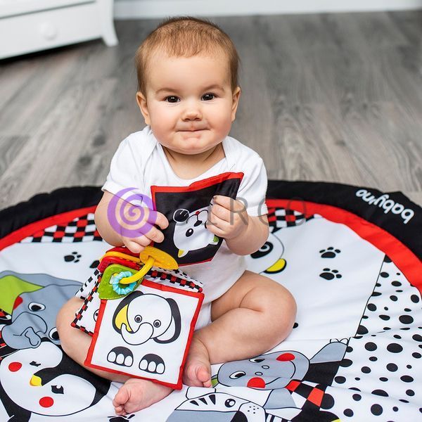 Детская развивающая сенсорная мягкая игрушка-книжка с картинками BabyOno "C-More" (779) (SB) 03k17p394 фото