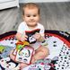 Детская развивающая сенсорная мягкая игрушка-книжка с картинками BabyOno "C-More" (779) (SB) 03k17p394 фото 2