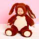 Детская игрушка пупс в костюме зайчика "Lovely Baby" 29х24 см (30/1) 03k09p075 фото 4