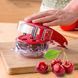 Міні видалення кісточок з вишні Cherry Pitter (518) 10k10p138 фото 1