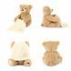Дитяча Інтерактивна іграшка Мишка Peekaboo Bear (Пікабіа) Brown 30 см (Англійська) 03k05p193v1 фото 3
