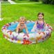 Детский надувной бассейн &laquo;Звездочки&raquo; INTEX 59421 (М+) 150 л 02k12p154 фото 1