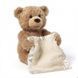Дитяча Інтерактивна іграшка Мишка Peekaboo Bear (Пікабіа) Brown 30 см (Англійська) 03k05p193v1 фото 1