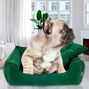 Велюрова лежанка для собак та кішок з м'якими бортами Mamo Pets Simple S 50х40см Зелена 05k01p028v1 фото