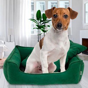 Велюрова лежанка для собак та кішок з м'якими бортами Mamo Pets Simple M 60х45см Зелена 05k01p028v2 фото