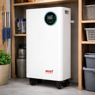 Акумуляторна батарея на колесах Must LiFePO4 LP16-48300 51.2V 300Ah, 15.36kWh 6000 циклів 117 кг (ISML) 11k12p323 фото