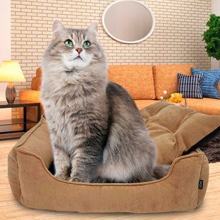 Велюрова лежанка для собак та кішок з м'якими бортами Mamo Pets Simple XS 45х35см Бежева 05k01p029 фото