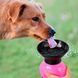 Поїлка вулична для собак "Aqua Dog" DOG BOTTLE Рожева/rs-17/225 05k05p014v3 фото 1