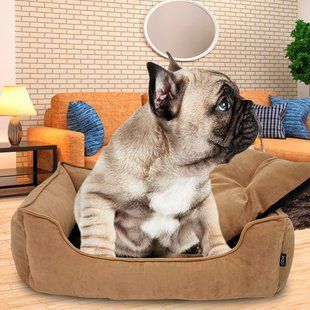Велюрова лежанка для собак та кішок з м'якими бортами Mamo Pets Simple S 50х40см Бежева 05k01p029v1 фото