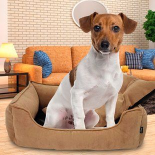 Велюрова лежанка для собак та кішок з м'якими бортами Mamo Pets Simple M 60х45см Бежева 05k01p029v2 фото