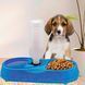 Миска для собак и кошек с автоматической поилкой пластиковая pet feeder Синяя/509 05k05p061v1 фото 1
