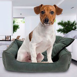 Велюрова лежанка для собак та кішок з м'якими бортами Mamo Pets Simple M 60х45см Темно-сіра 05k01p030v2 фото