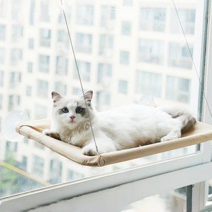 Лежанка-гамак для котів із присосками на вікно 05k01p009 фото