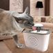 Автоматическая поилка - фонтан для кошек и собак Pet Water FOUNTAIN (509) 05k05p040 фото 1