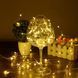 Новогодняя гирлянда Xmas "Роса" на батарейках 5 м Теплое свечение 12k01p035v1 фото 2
