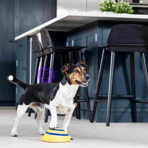 Игрушка для домашних собак WOOF GLIDER (212) 05k03p008 фото