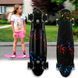 Penny Board Молнии скейт 25 см со светящимися колесами, до 80 кг двусторонняя расцветка 13k03p007v8 фото 1