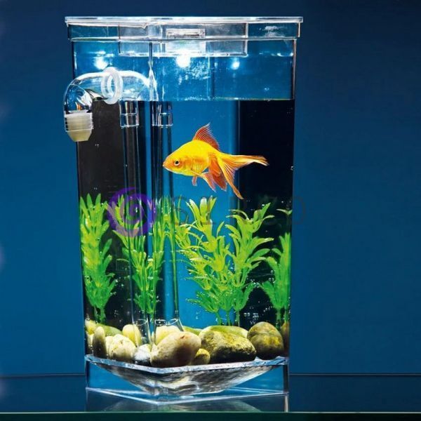 Акваріум з LED підсвічуванням самоочищається акриловий 2 л 25 см My Fun Fish не вимагає чищення та миття (МШ) 05k05p007 фото