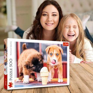 Пазлы живописные &ndash; (500 эл.) &ndash; "Время для мороженного" 37272/ Trefl (SB) 03k19p157 фото