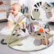 Дитячий килимок з аркою і підвіскою BabyOno "Миле кошеня" 90x52 см (1475) (SB) 03k17p438 фото 1