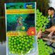 Ароматизированная плавающая насадка из пенопласта SEVI fishing Горох 02k04p121v3 фото 2