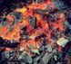 Воздухадувка для вугілля з ручним вентилятором [228] 14k02p061 фото 2