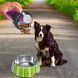 Dexas Snack-Duo Бутылка Двойная 480 Мл Для Воды И Корма Или Лакомства Фиолетовый/205 05k05p037v3 фото 1