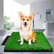 Туалет для собак із газоном Puppy Potty Pad 60 на 50 см/509 05k05p015 фото 1