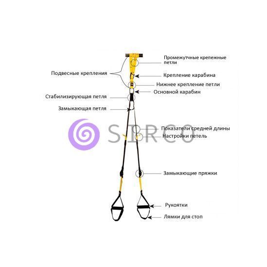 Тренировочные петли TRX Fit Studio 02k06p019 фото