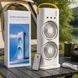 Настольный вентилятор Double-ended Spray Fan 3в1 с увлажнителем, LED-подсветкой, USB Type-C пульт ДУ (AX) 01k07p190v2 фото 1