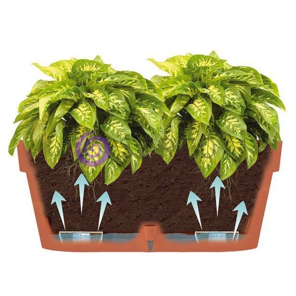 Овальний горщик для квітів з автополиванням &laquo;LATINA WINDOW BOX&raquo; 17*39,5см, 6,7л Пісочний (DRKJ) 09k07p068v4 фото