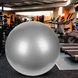 М'яч для фітнесу (фітбол) 75 см Yoga Ball Сірий 02k07p022v2 фото 1